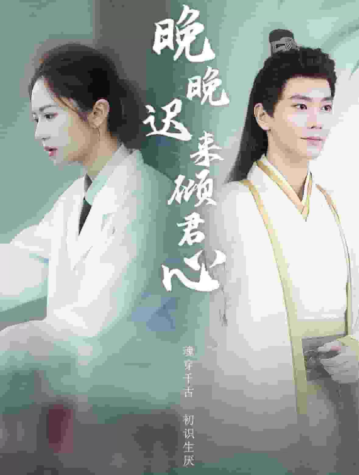 晚晚迟来倾君心